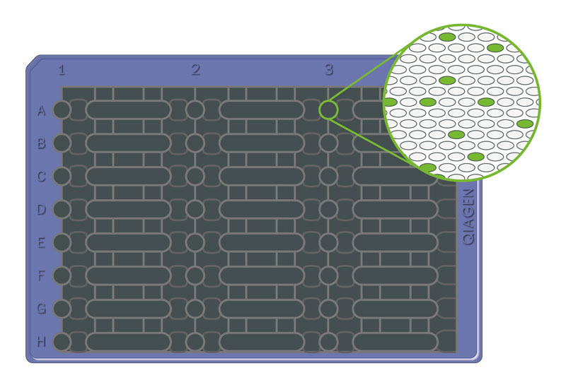 Nanoplate small