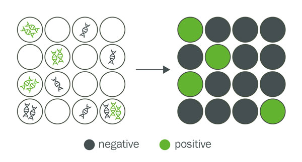 Positive/negative signal