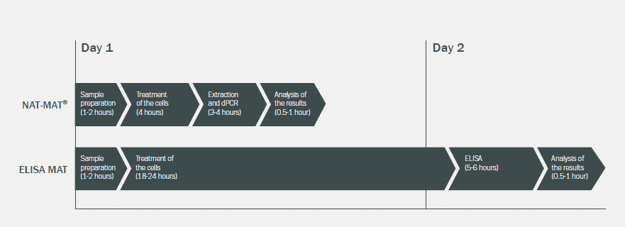 NAT-MAT Timeline