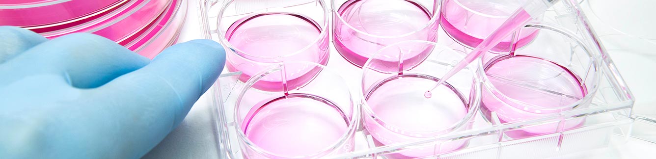 Cell Culture Contamination Control in Laboratories